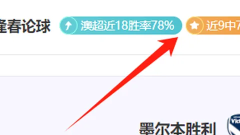 【五星推荐】炸裂命中率！葡超焦点战9中7，深度解析，信心爆棚攻略！